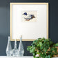 White and Blue Mallard Premium Framed Print Double Matboard