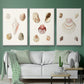 Pastel Knorr Shells IV - Framed Premium Gallery Wrapped Canvas L Frame 3 Piece Set - Ready to Hang