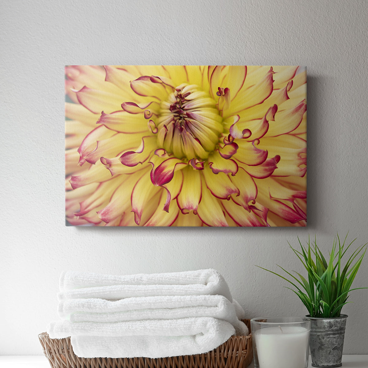 Blooms II - Canvas Art Print