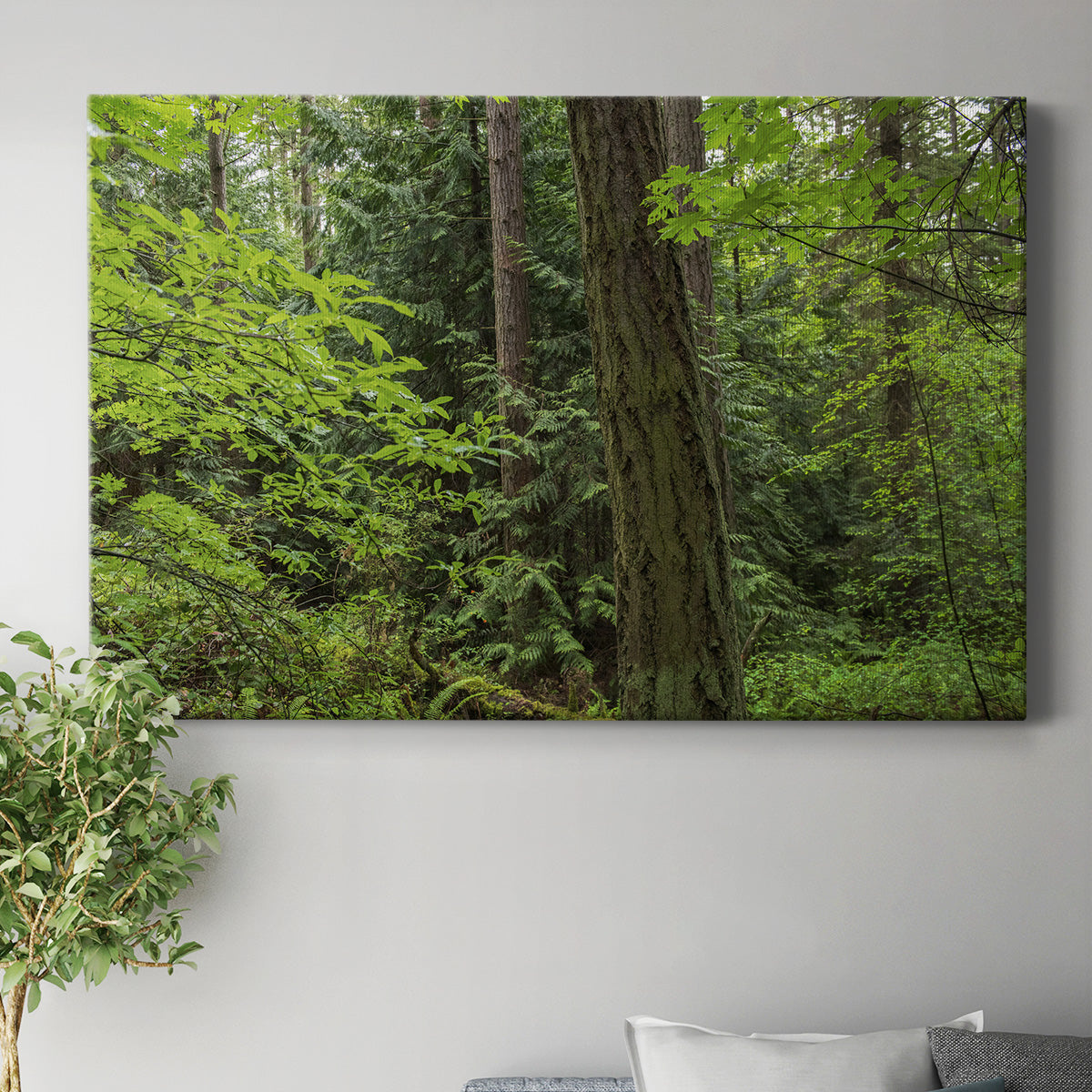 Calm of the Forest Premium Gallery Wrapped Canvas - Ready to Hang