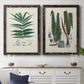 Set of two black barnwood framed canvas prints depicting a coordinated art pair of vintage fern specimens with botanical details rendered as natural-history fern plates above a dining room sideboard.