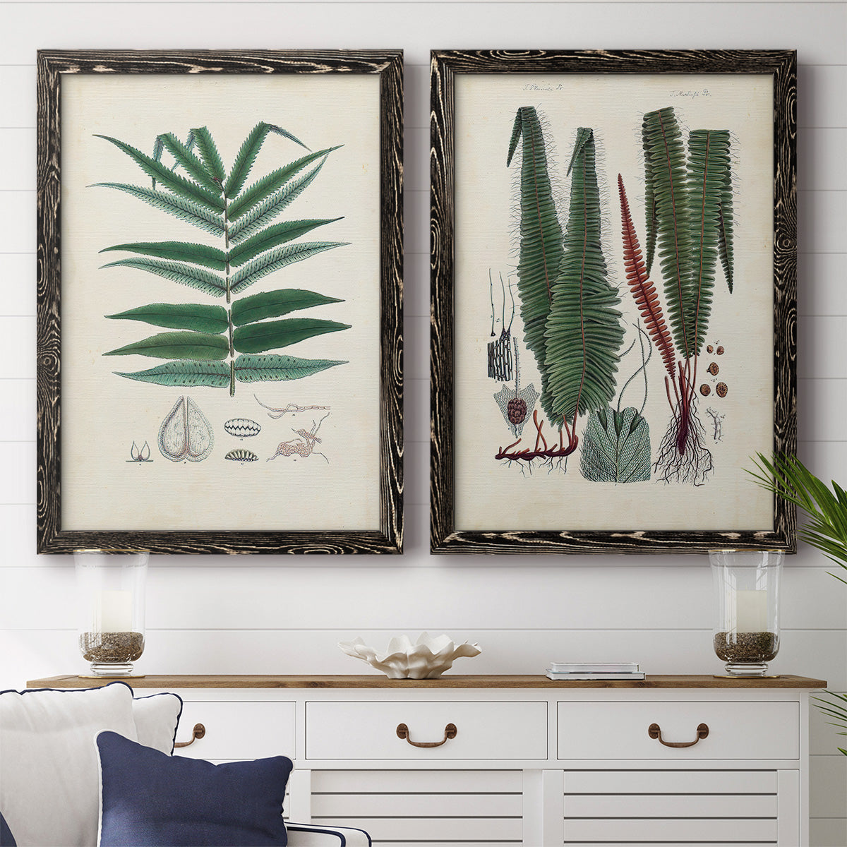 Set of two black barnwood framed canvas prints depicting a coordinated art pair of vintage fern specimens with botanical details rendered as natural-history fern plates above a dining room sideboard.