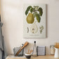 Vintage Pears I Premium Gallery Wrapped Canvas - Ready to Hang