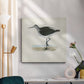 Morris Sandpipers VI - Canvas Art Print