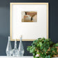 Almondine II Premium Framed Print Double Matboard