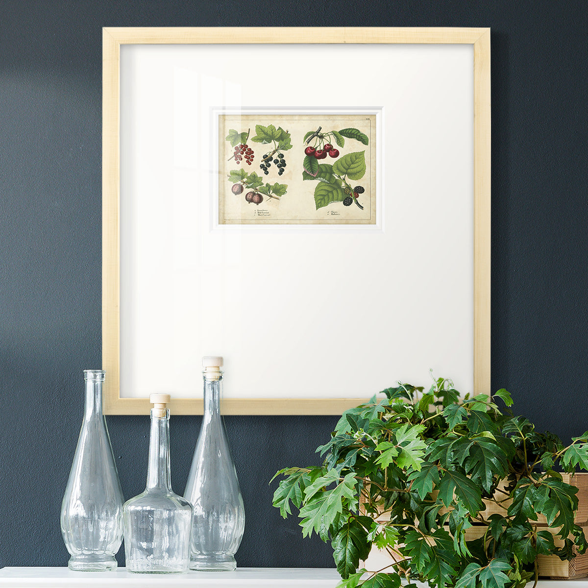 Kitchen Fruits III Premium Framed Print Double Matboard