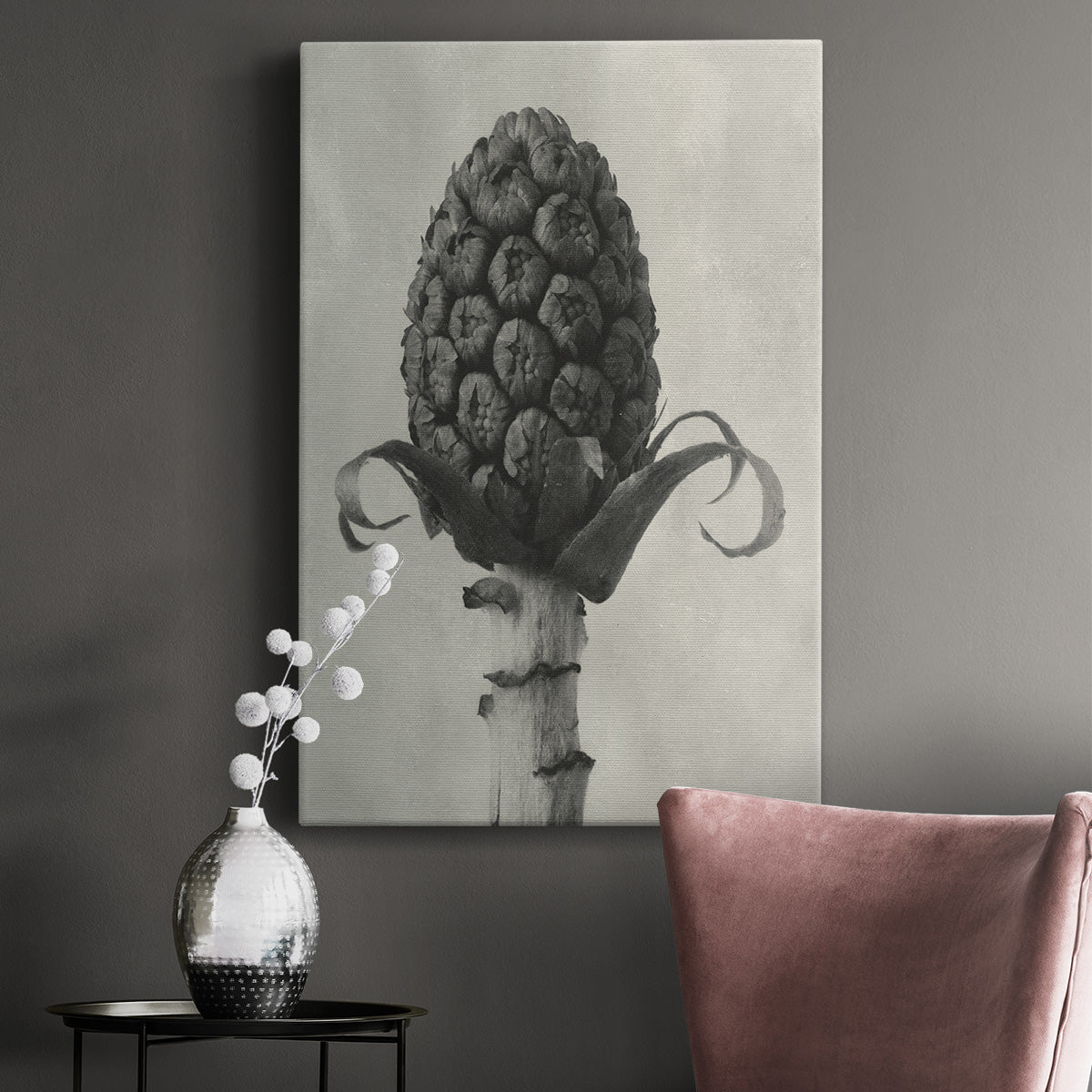 Blossfeldt Botanical IV Premium Gallery Wrapped Canvas - Ready to Hang