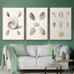 Pastel Knorr Shells I - Framed Premium Gallery Wrapped Canvas L Frame 3 Piece Set - Ready to Hang