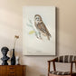 Little Owl - Canvas Art Print