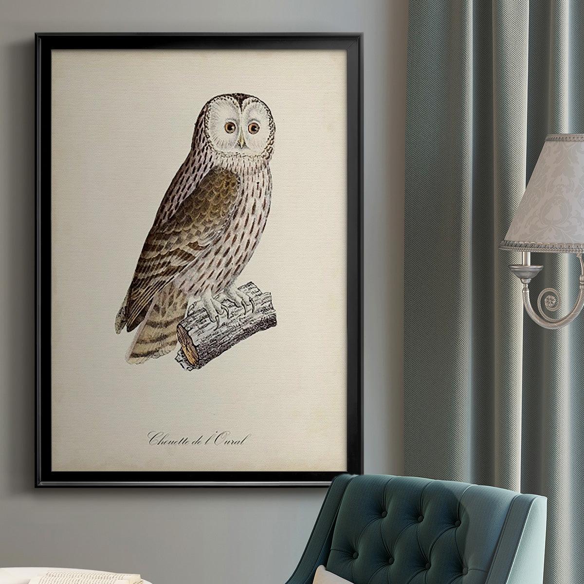 French Owls V - Modern Framed Canvas Print