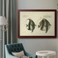 Bloch Antique Fish I Premium Framed Canvas- Ready to Hang