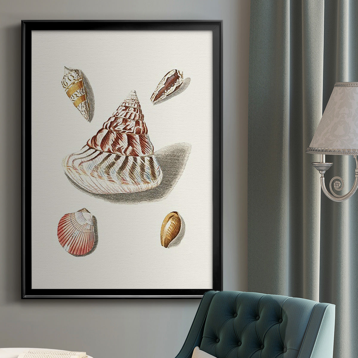 Pastel Knorr Shells VII - Modern Framed Canvas Print