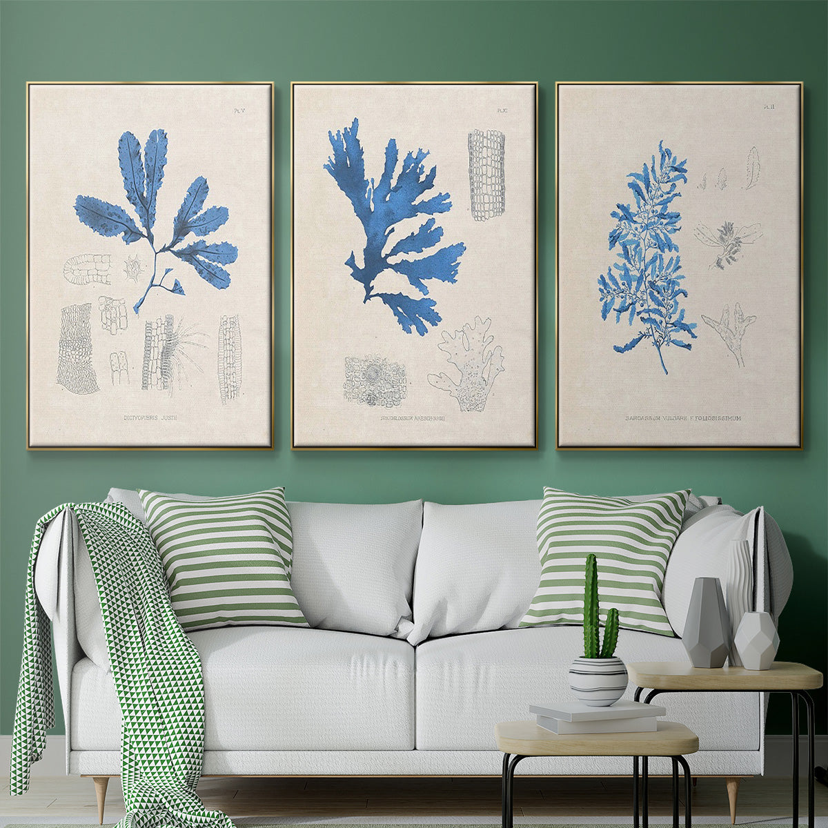 Blue Marine Algae VI - Framed Premium Gallery Wrapped Canvas L Frame 3 Piece Set - Ready to Hang