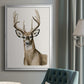 Handsome Whitetail I - Modern Framed Canvas Print