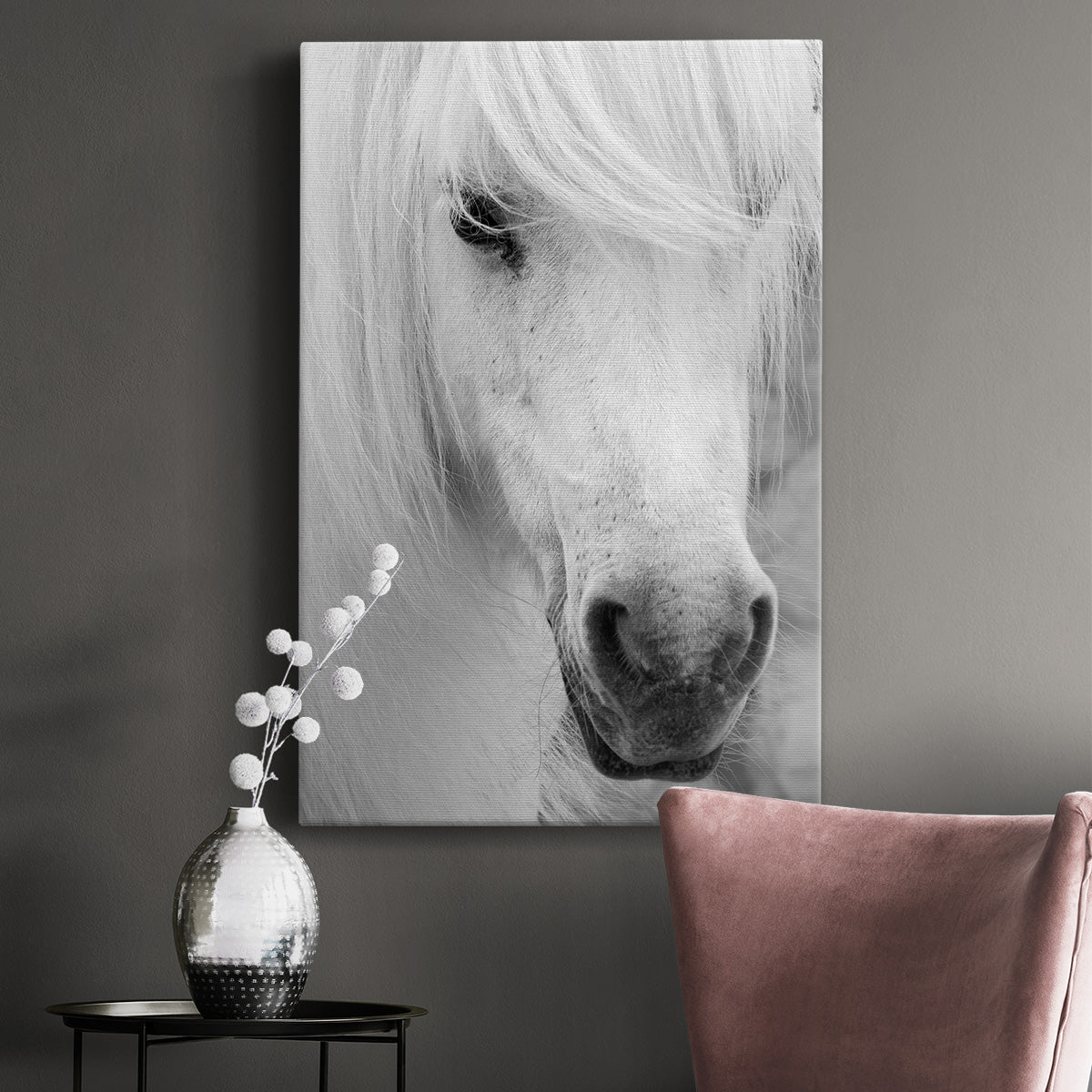 Island Pony I - Canvas Art Print