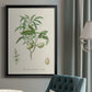 Antique Almond Botanical II - Modern Framed Canvas Print