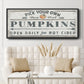Pumpkin Patch I - Floater Framed Canvas Print