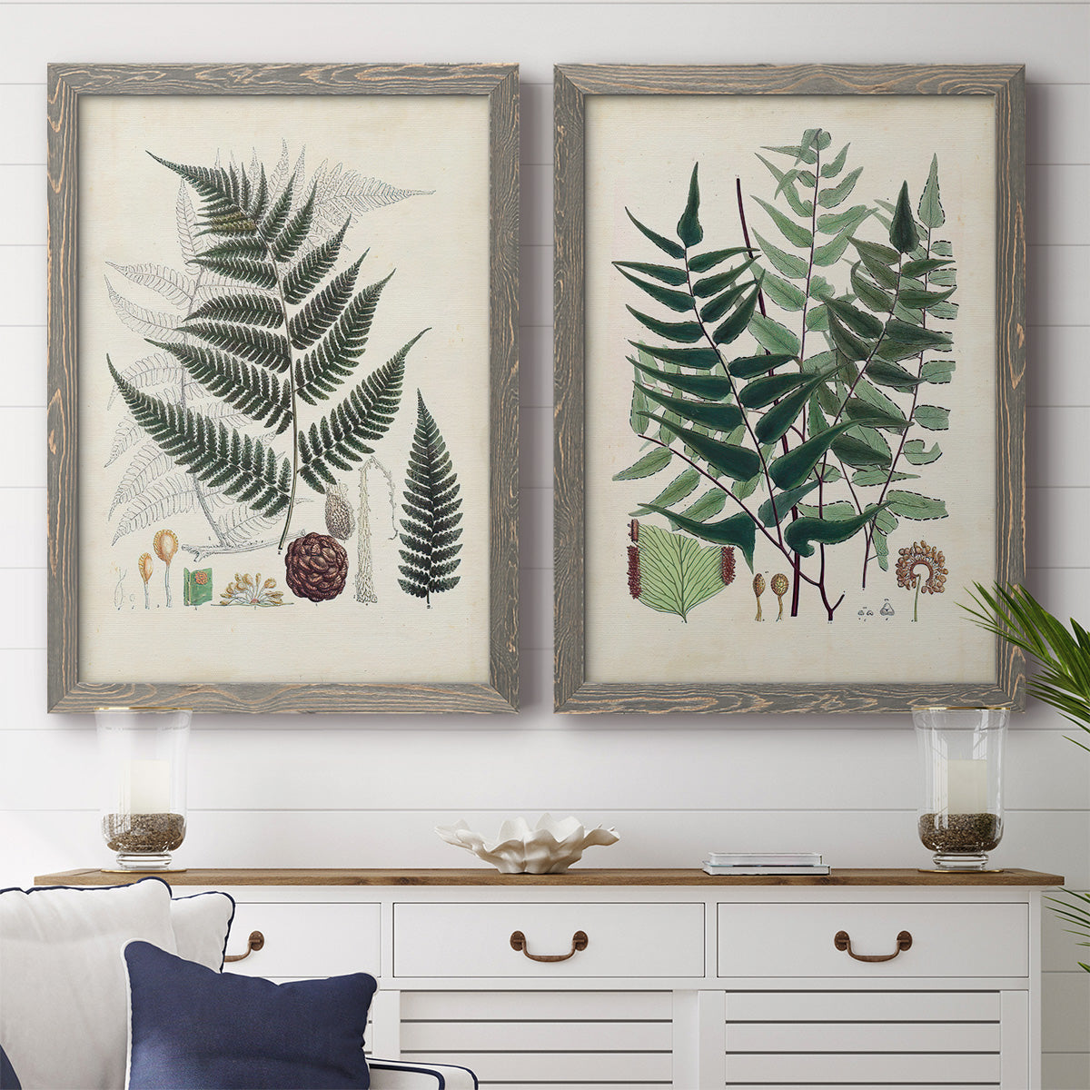 Set of two gray barnwood framed canvas prints depicting a coordinated art pair of vintage fern specimens with botanical details rendered as natural-history fern plates above a dining room sideboard.
