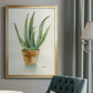 Succulent IV - Modern Framed Canvas Print