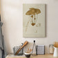 Mushroom Varieties V Premium Gallery Wrapped Canvas - Ready to Hang