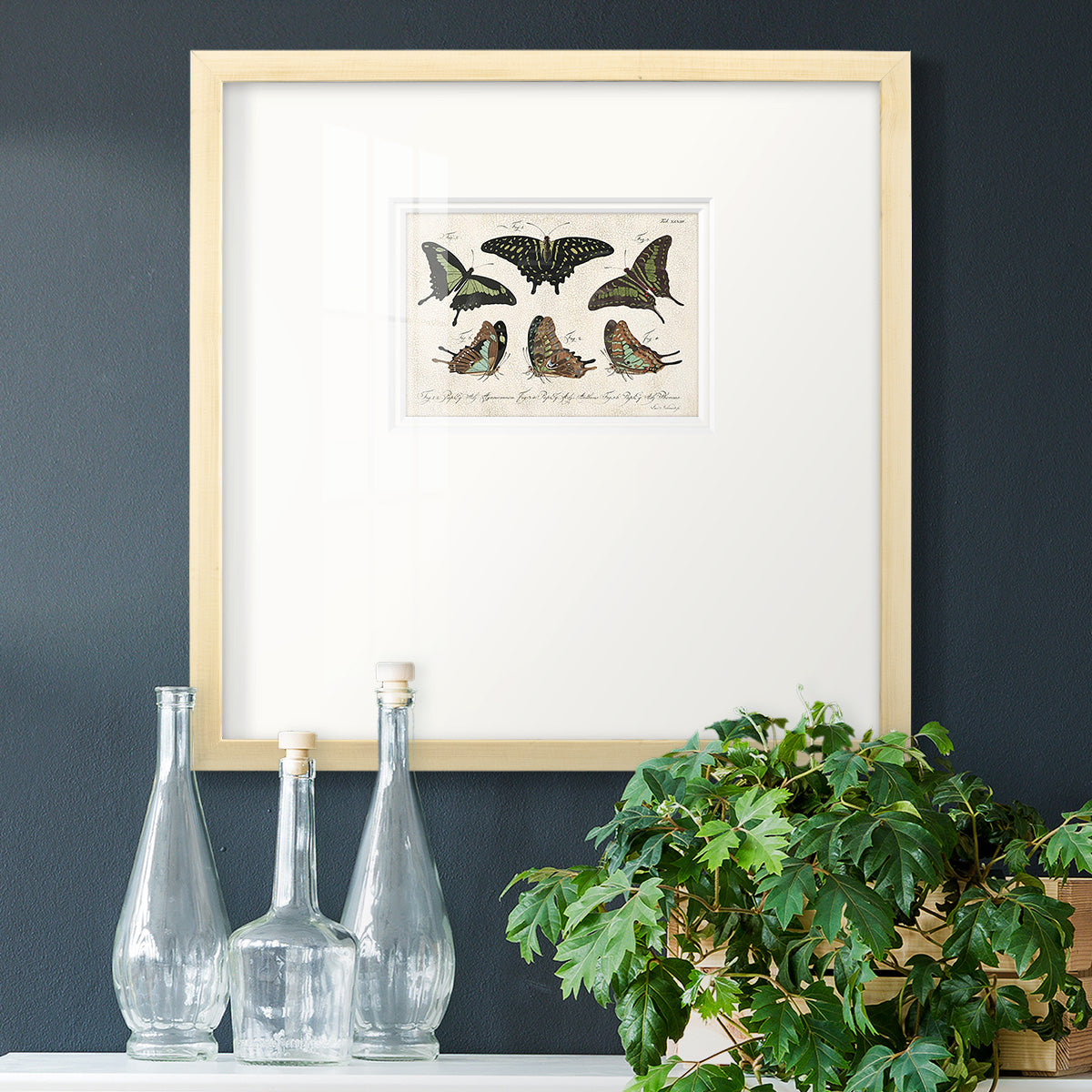 Crackled Butterflies II Premium Framed Print Double Matboard