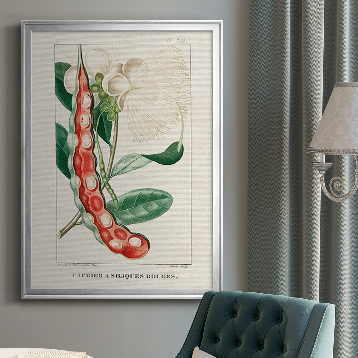 Turpin Tropical Botanicals VIII - Modern Framed Canvas Print