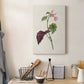 Pretty Pink Botanicals VI Premium Gallery Wrapped Canvas - Ready to Hang