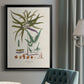 Botanical Society Ferns VIII - Modern Framed Canvas Print