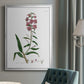 Rose Botanical I - Modern Framed Canvas Print