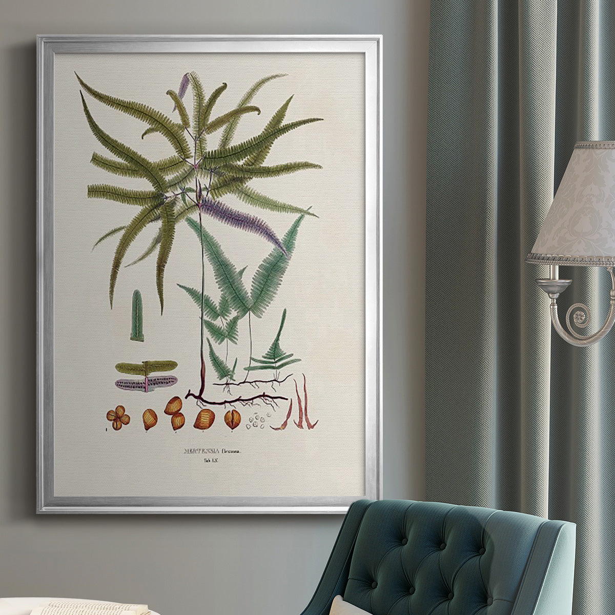 Botanical Society Ferns VIII - Modern Framed Canvas Print