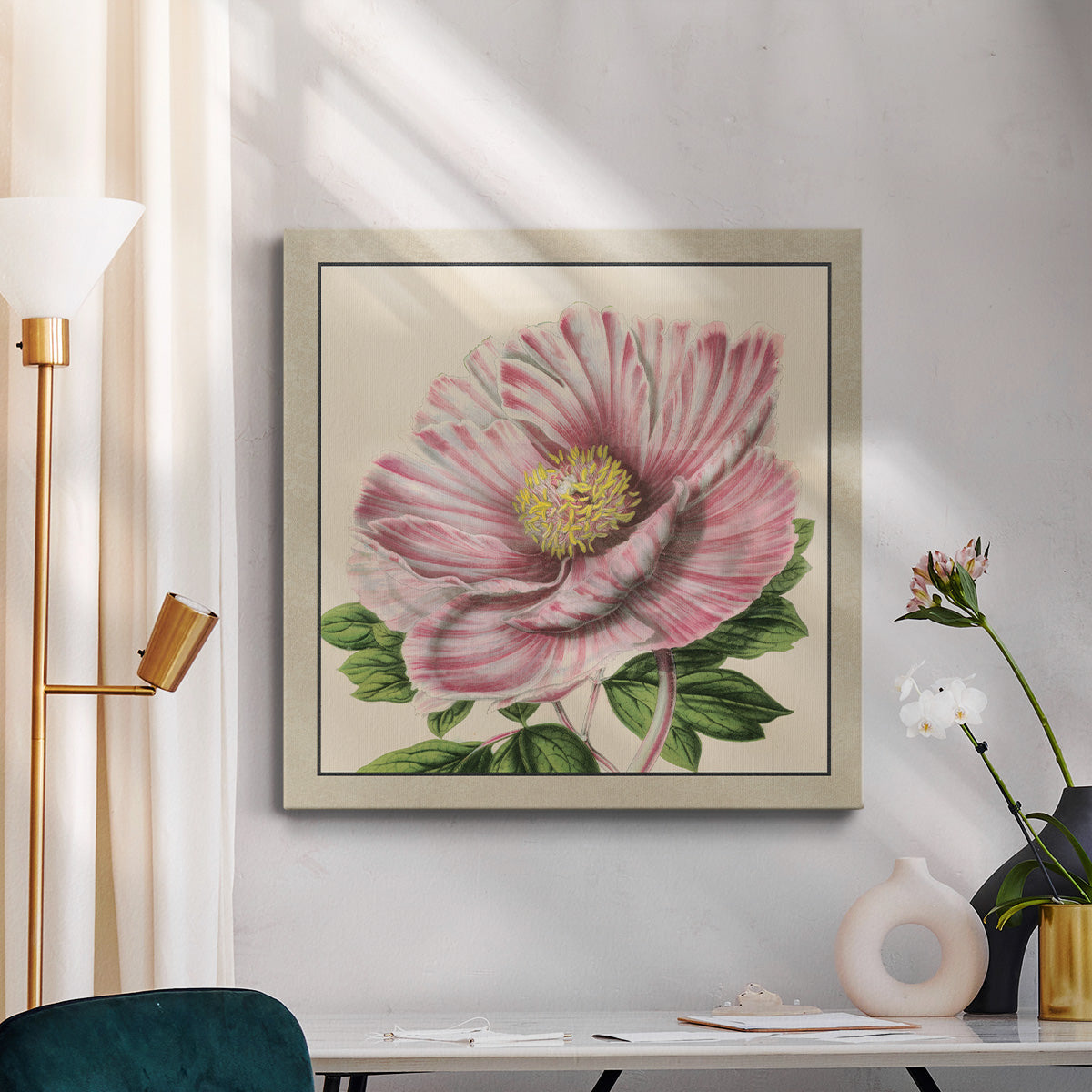 Peony Collection II - Canvas Art Print