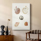 Pastel Knorr Shells VIII - Canvas Art Print