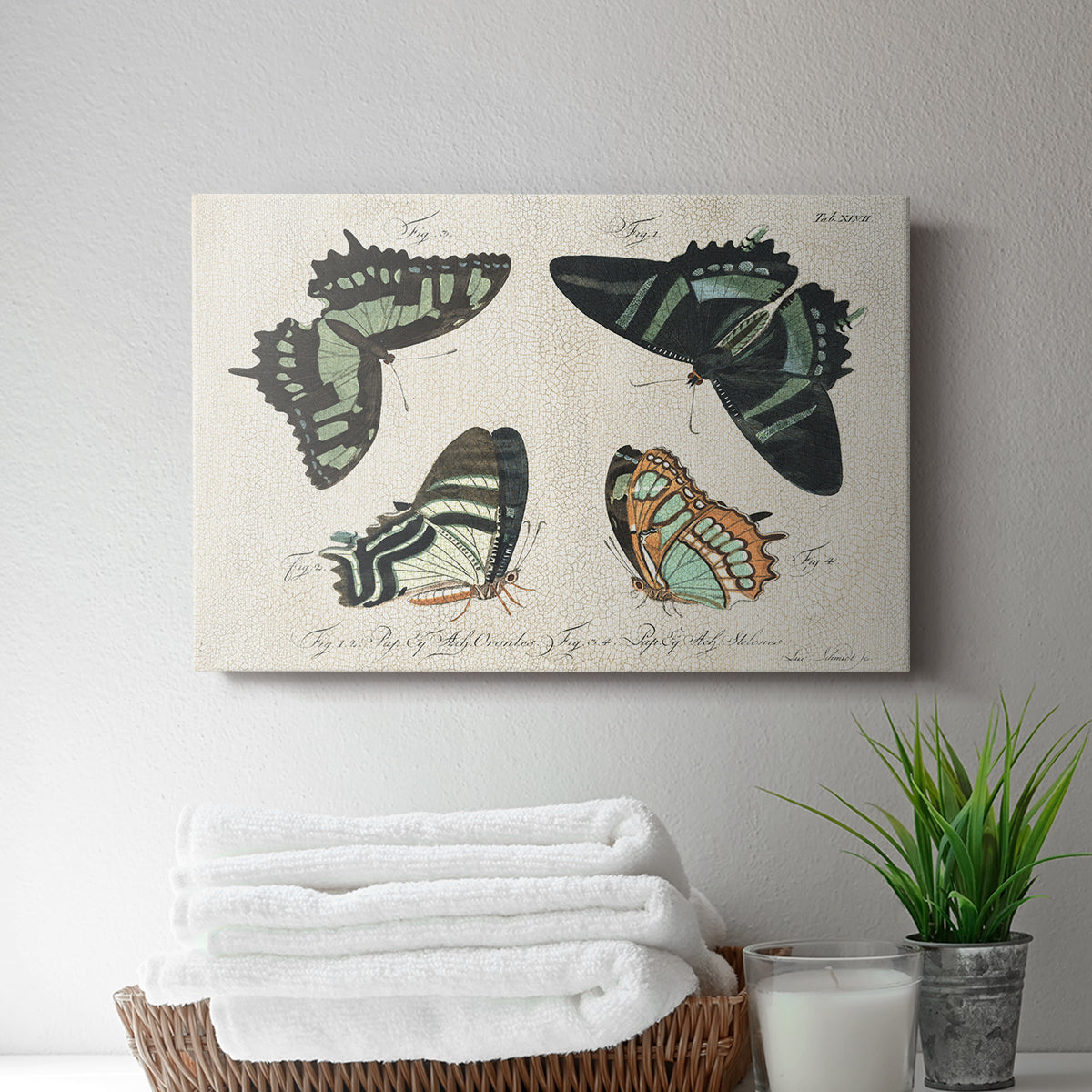 Crackled Butterflies III - Canvas Art Print