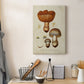 Mushroom Varieties I Premium Gallery Wrapped Canvas - Ready to Hang