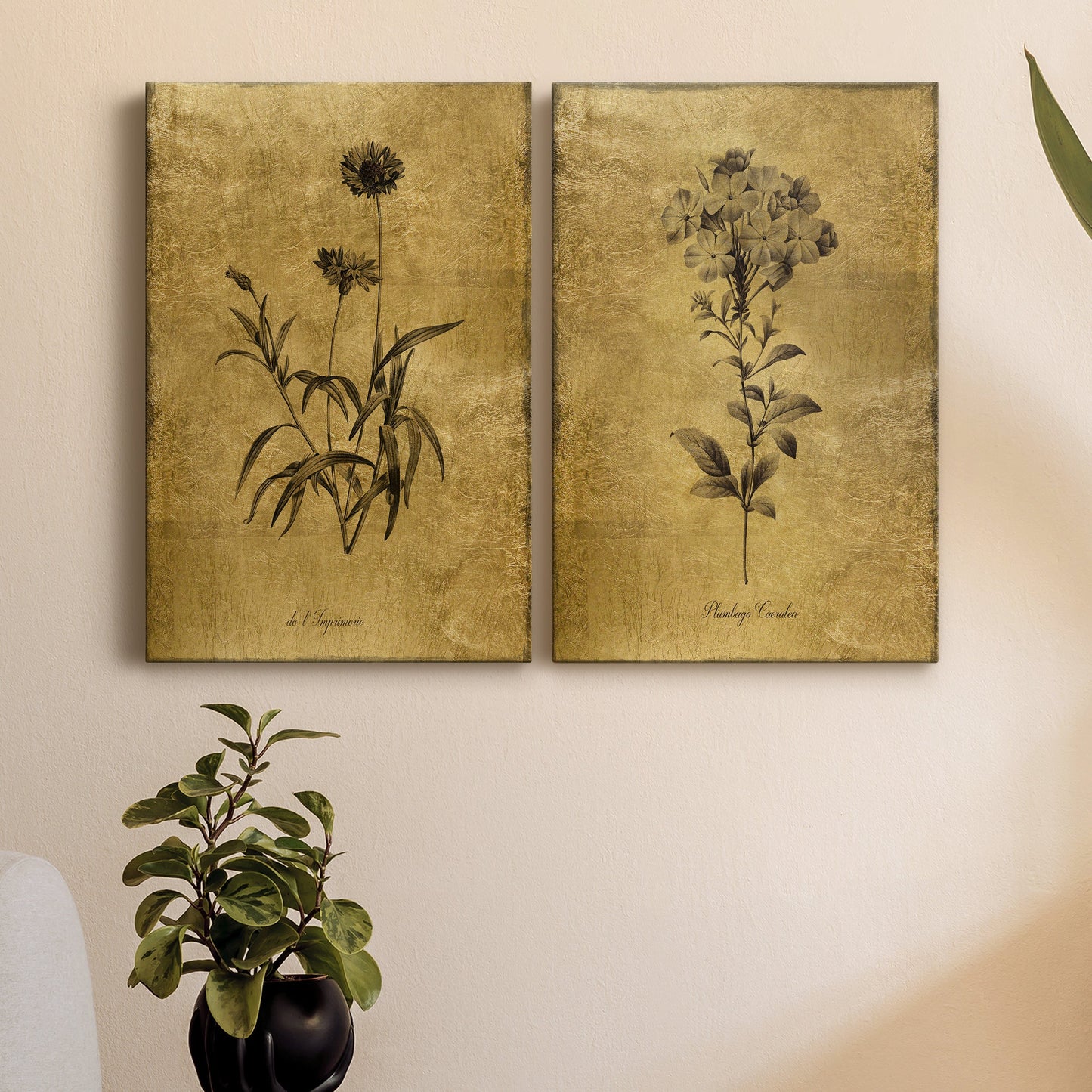 Gold Sketch Botanical I Premium Gallery Wrapped Canvas - Ready to Hang - Set of 2 - 8 x 12 Each