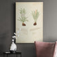 Fern Study III Premium Gallery Wrapped Canvas - Ready to Hang