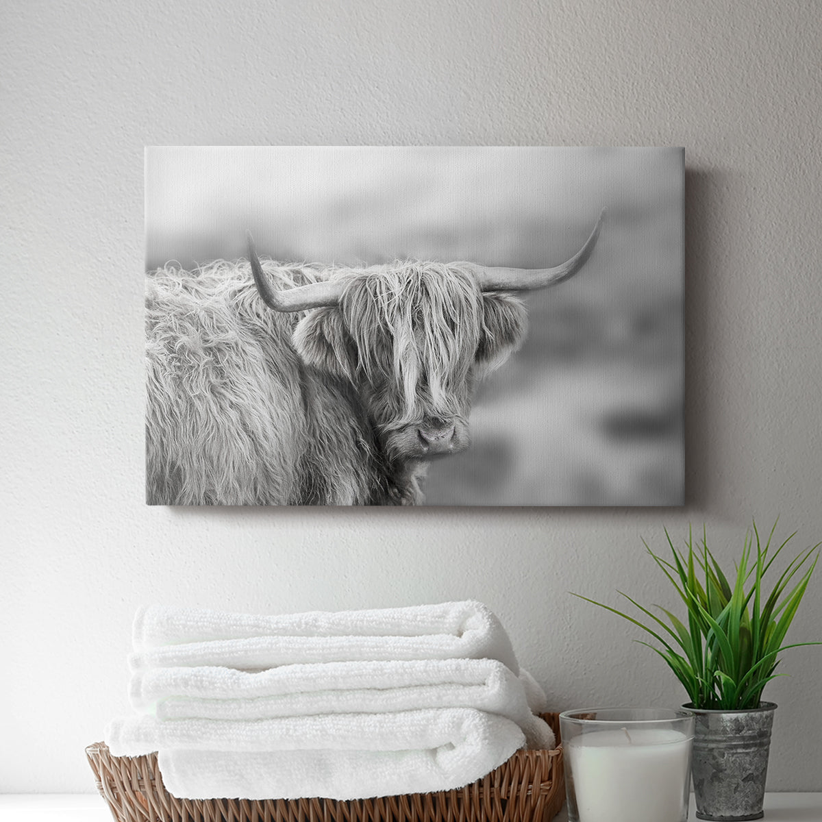 Roaming Isle of Skye - Canvas Art Print