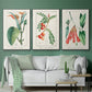 Turpin Tropical Botanicals I - Floater Framed Canvas Set