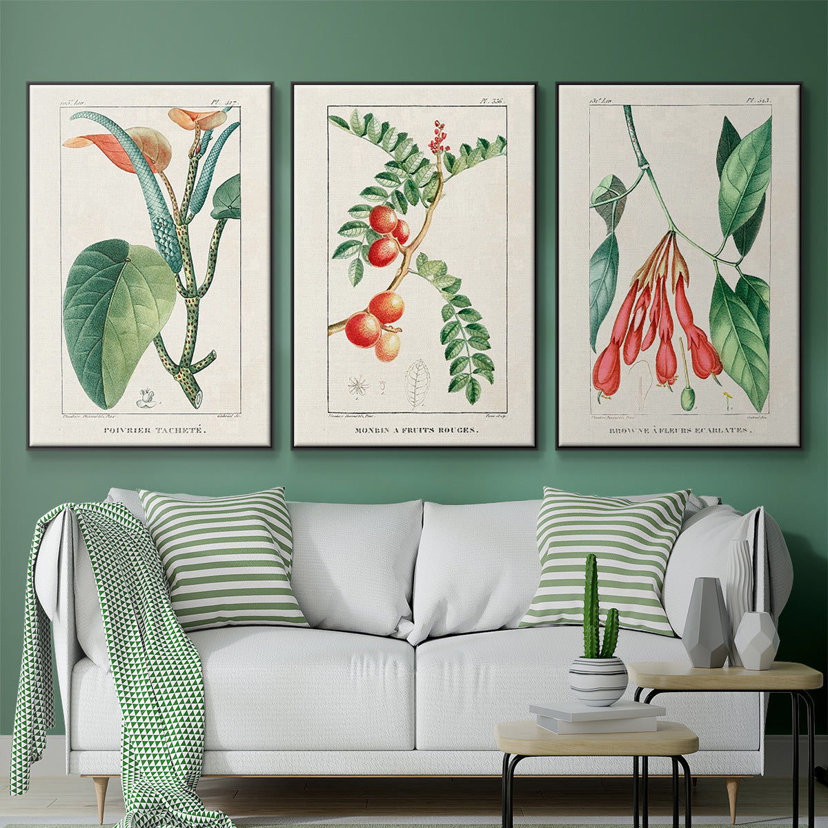 Turpin Tropical Botanicals I - Floater Framed Canvas Set