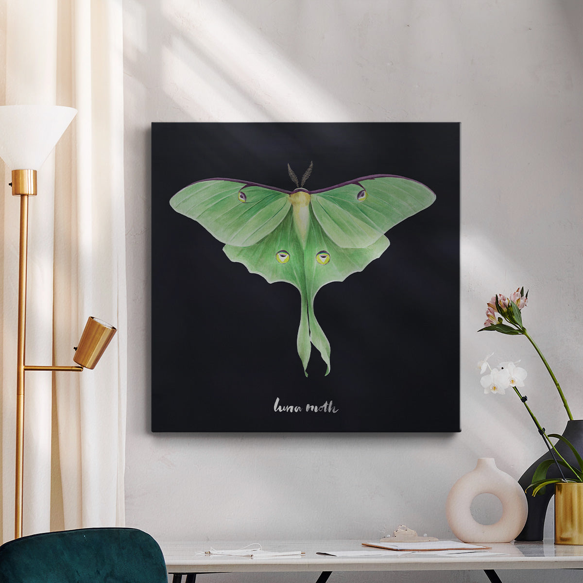 Luna Moth I - Canvas Art Print