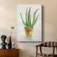 Succulent IV - Canvas Art Print