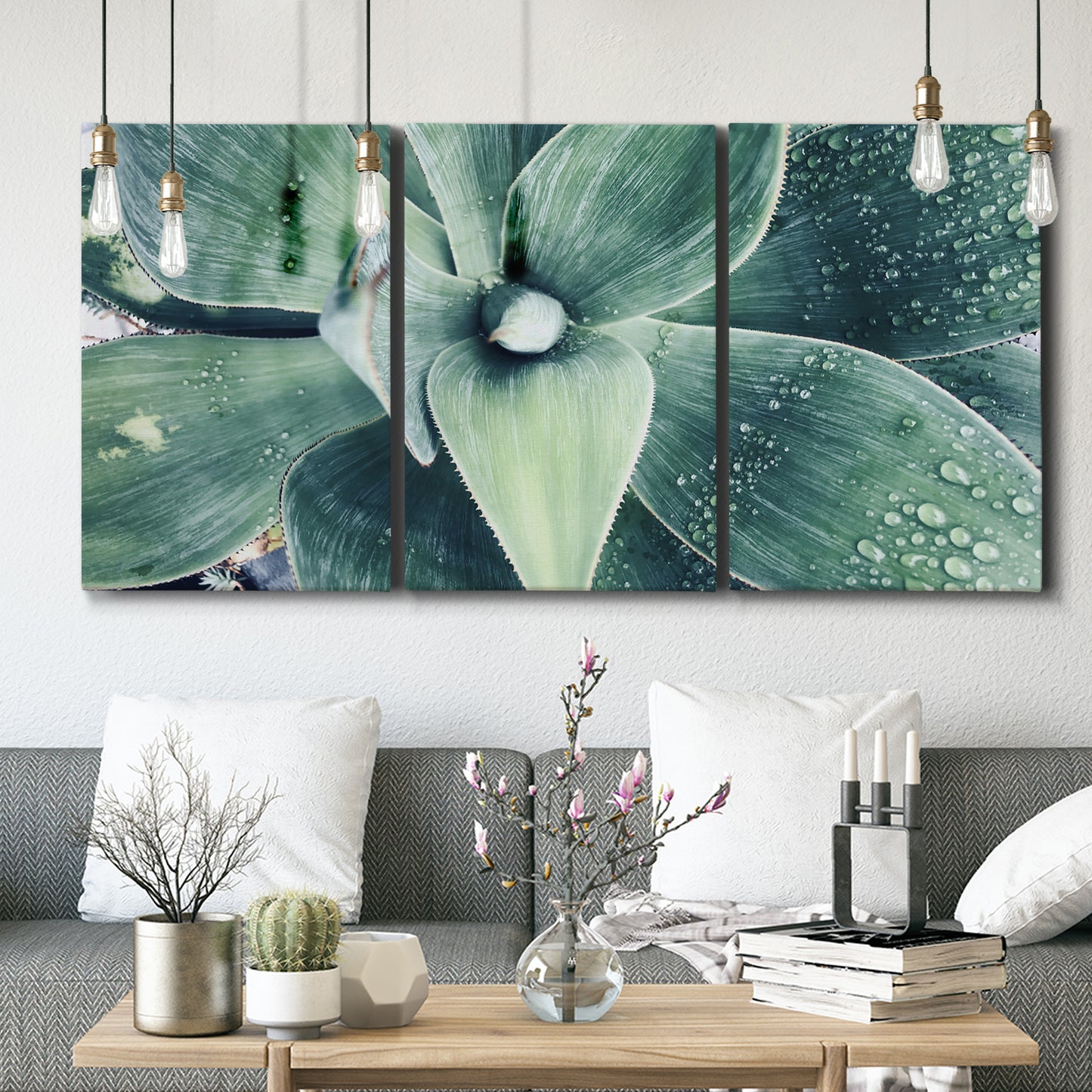 Three-panel canvas wall art featuring green succulent plant photograph, displayed in a modern living room above seating.
