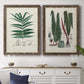 Set of two walnut barnwood framed canvas prints depicting a coordinated art pair of vintage fern specimens with botanical details rendered as natural-history fern plates above a dining room sideboard.