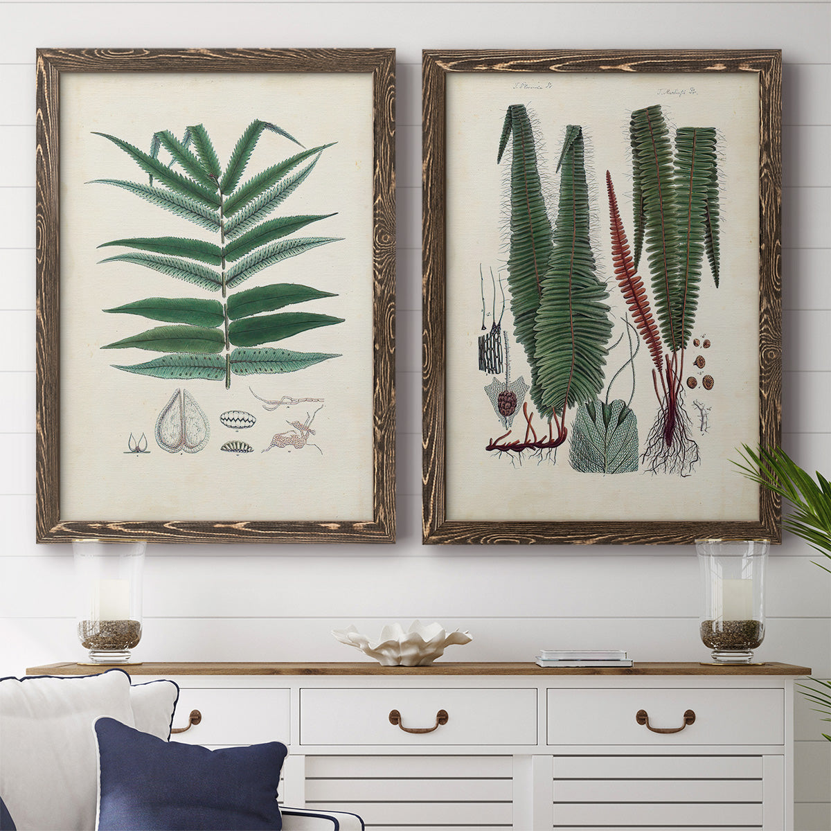 Set of two walnut barnwood framed canvas prints depicting a coordinated art pair of vintage fern specimens with botanical details rendered as natural-history fern plates above a dining room sideboard.