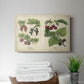 Berries and Currants - Canvas Art Print