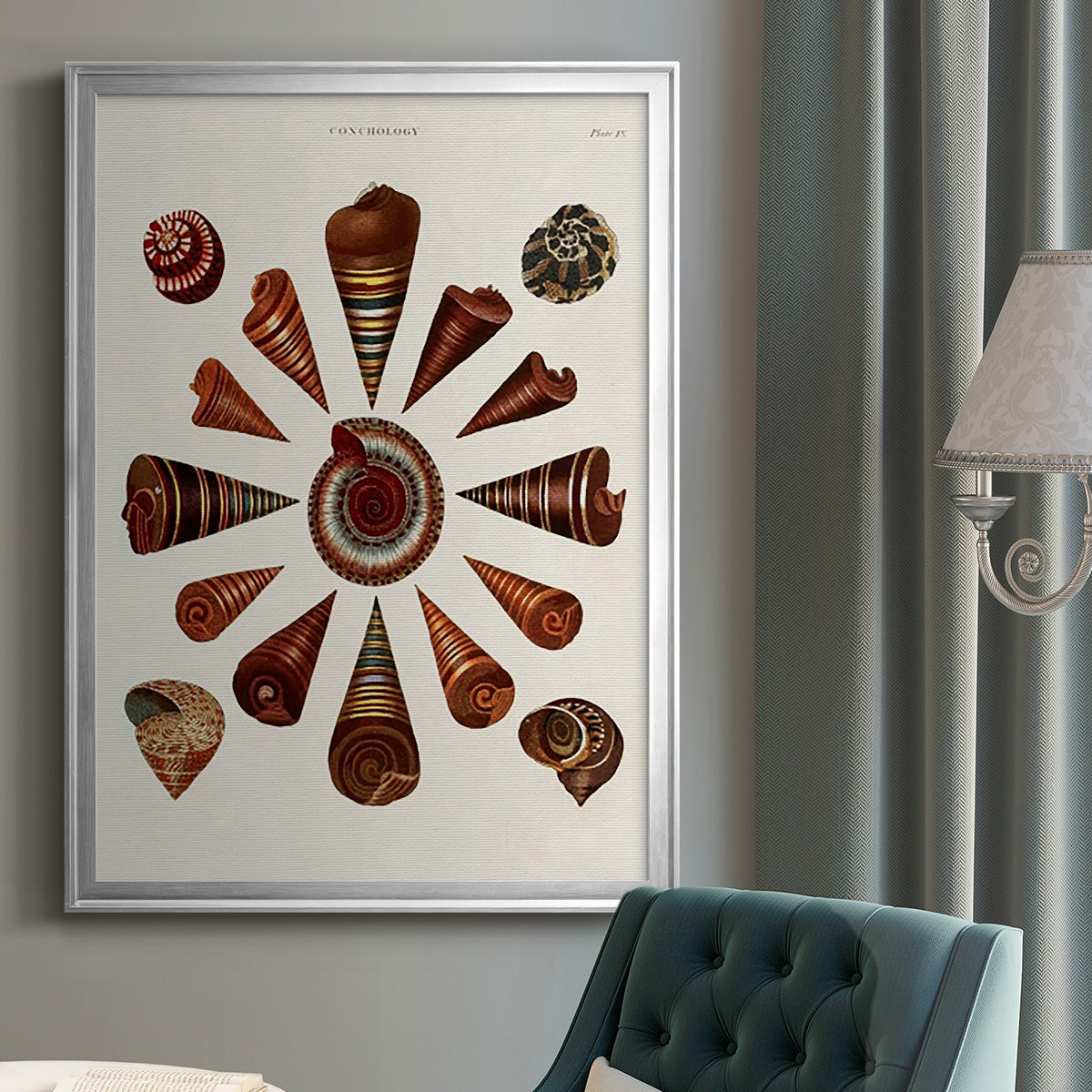Spiral Shell Formation IV - Modern Framed Canvas Print