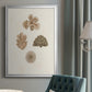 Knorr Shells & Coral VIII - Modern Framed Canvas Print