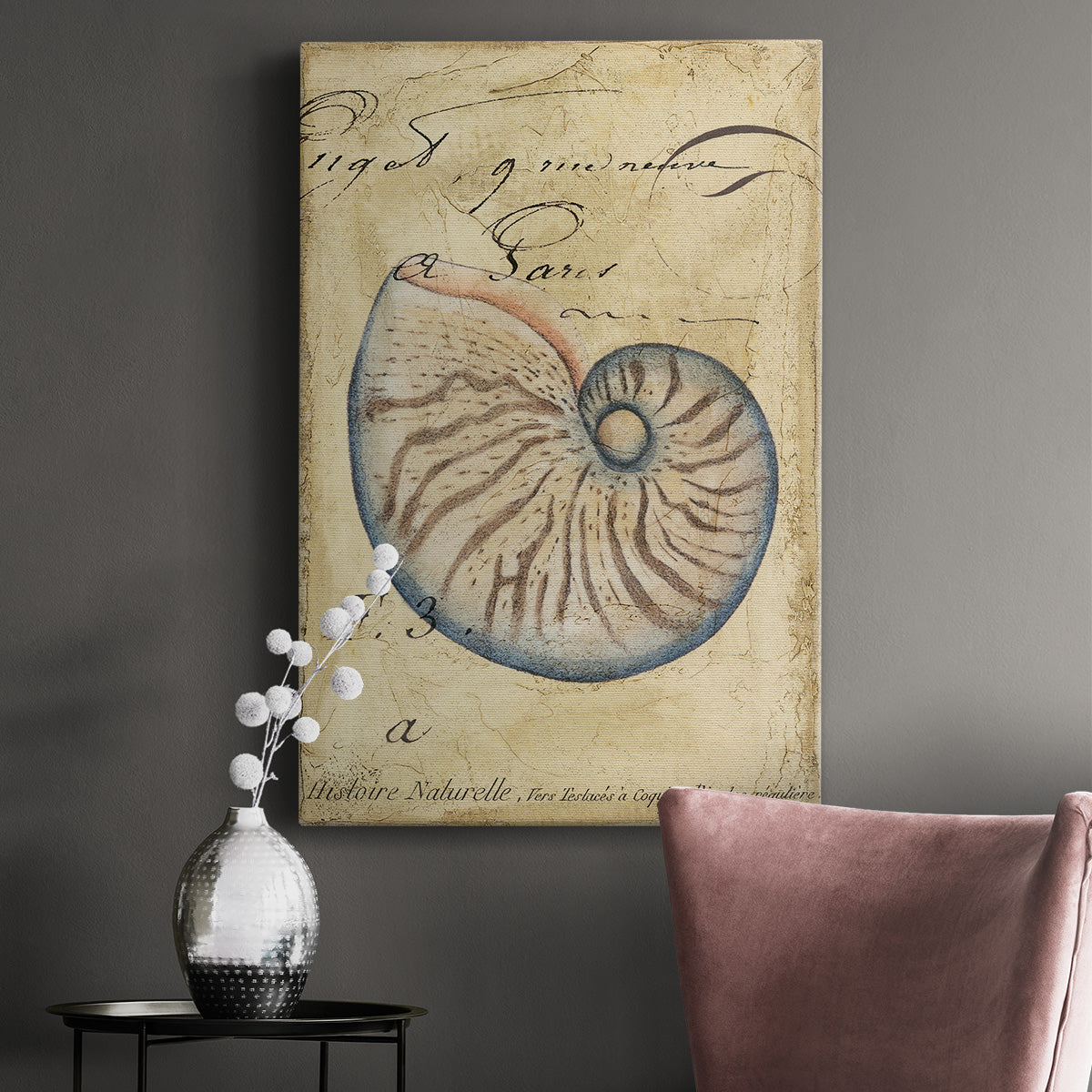 Seashell Ephemera II Premium Gallery Wrapped Canvas - Ready to Hang