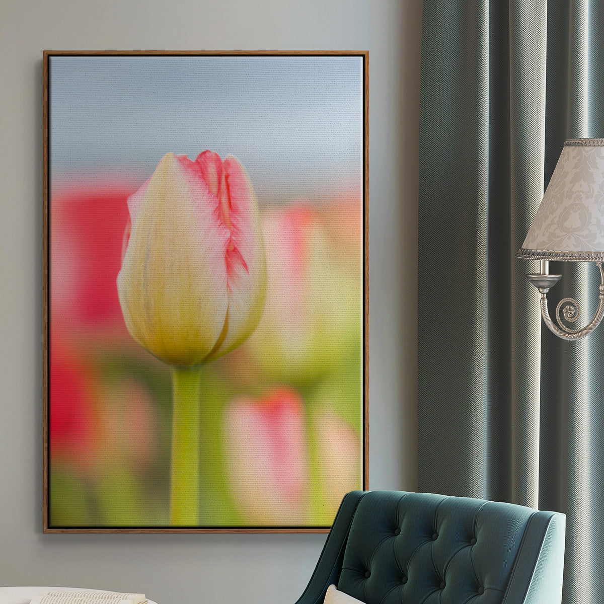 Twotone Tulip - Framed Premium Gallery Wrapped Canvas L Frame - Ready to Hang