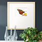 Wings I Premium Framed Print Double Matboard